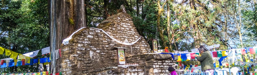 Norbugang Coronation Throne