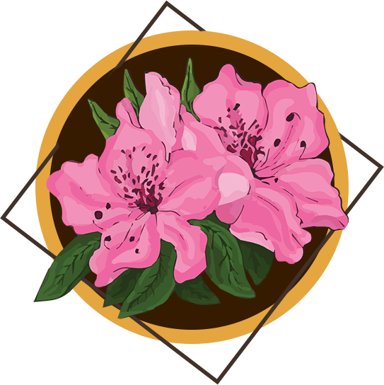 Rhododendron Tour Treks